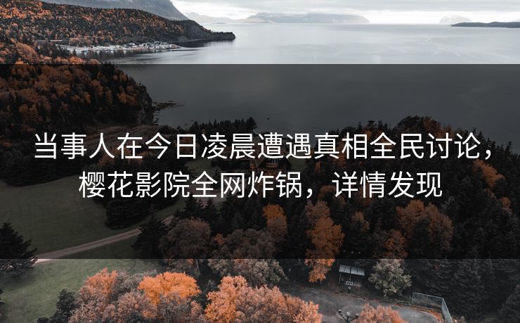 当事人在今日凌晨遭遇真相全民讨论，樱花影院全网炸锅，详情发现
