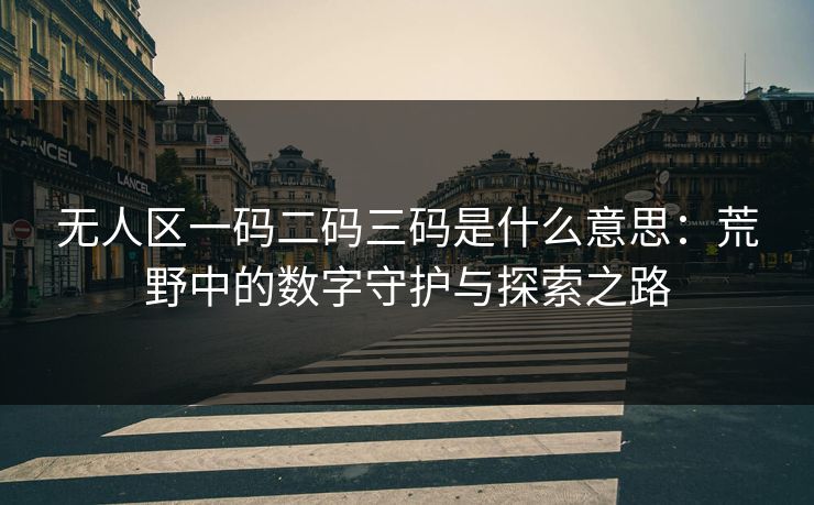 无人区一码二码三码是什么意思：荒野中的数字守护与探索之路